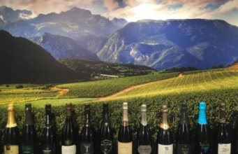 STATO DELL'ARTE E NOVITA' PER L'ETICHETTATURA DEI PRODOTTI VINICOLI | webinar  ore 9.30 - 12.30 - Camera di Commercio di Trento