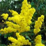 [site:name] - [node:title]